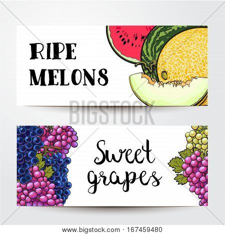 Banners of white, green, purple grapes and melon, watermelon with place for text, sketch vector illustration isolated on white background. Grapes, melon, watermelon banner design, decoration element