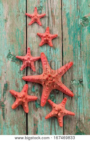 Shell And Starfish Frame With Space On Wooden Old Background.