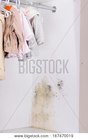 Persistent mold in wardrobe on wall and shelves. Hanging kids clothes on the rack.