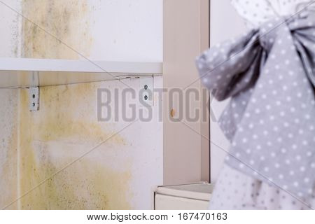 Persistent mold in wardrobe on wall and shelves.
