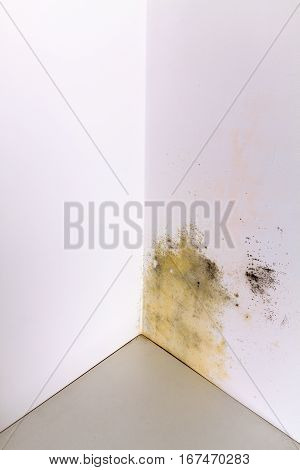Mold and moisture buildup on corner wall of a house.