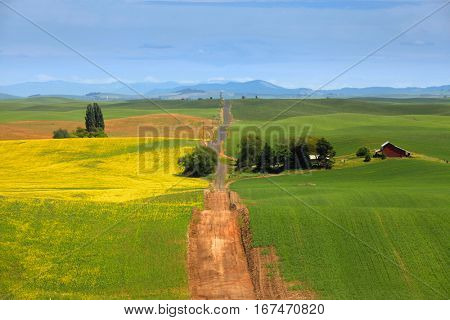 Gravel road through beautiful Palouse landscape 