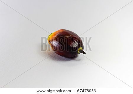 Oil palm fruits on white background.Commercial palm oil cultivation.