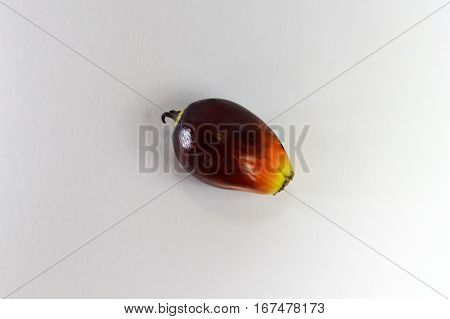 Oil palm fruits on white background.Commercial palm oil cultivation.