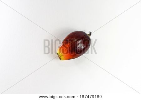 Oil palm fruits on white background.Commercial palm oil cultivation.