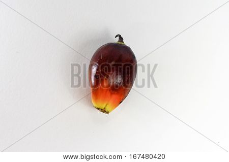Oil palm fruits on white background.Commercial palm oil cultivation.