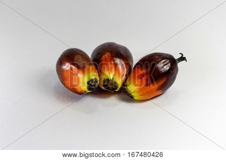 Oil palm fruits on white background.Commercial palm oil cultivation.