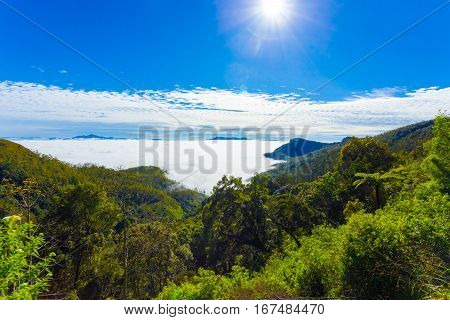 Haputale Hill Country Above Sea Clouds Valley H