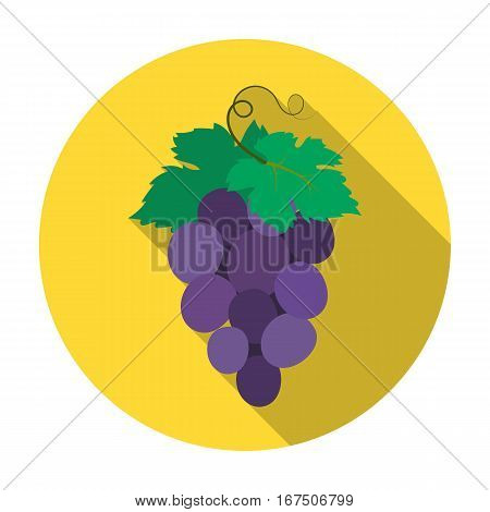 Bunch of wine grapes icon in flat design isolated on white background. Spain country symbol stock vector illustration.