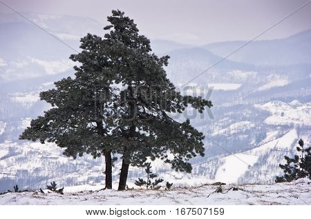 Viewpoint at winter landscape from mountain Kozomor, Serbia