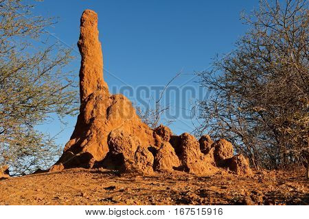 Massive termite mound against a blue sky, southern Africa