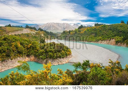 Beautiful landscape of New Zealand with Southern Alps peaks, turquoise river and blooming yellow gorse