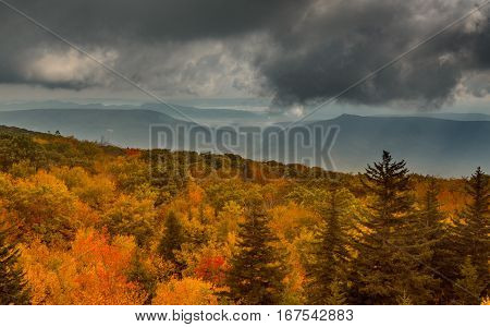 Red autumn leaves across Dolly Sods Wilderness area in West Virginia with panorama to distant mountains