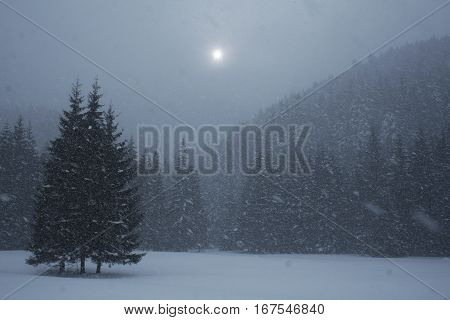 Snow Storm In Tatra Mountains During Evening