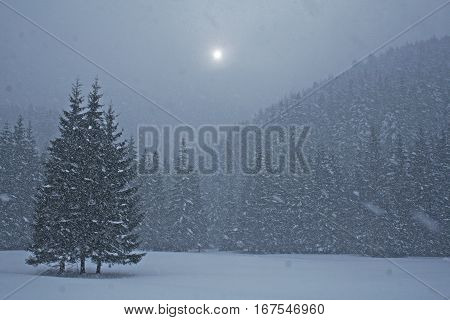 Snow storm in tatra mountains, Lesser Poland.
