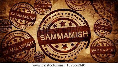sammamish, vintage stamp on paper background