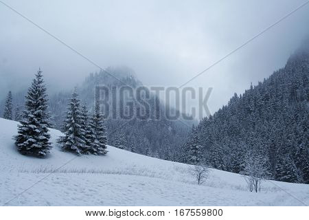 Tatra Mountains During Winter Cold Winter, Poland