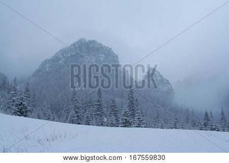 Tatra Mountains And Snow During Winter In Poland