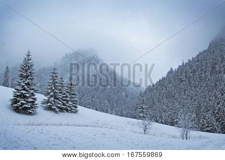 Tatra Mountains During Winter In Poland. Europe