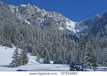 Tatra mountains and snow winter near zakopane - Poland.