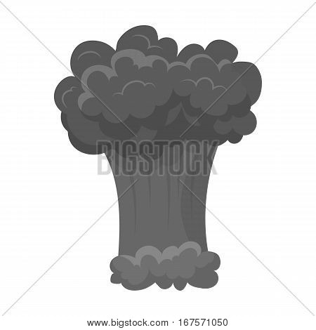 Nuclear explosion icon in monochrome design isolated on white background. Explosions symbol stock vector illustration.