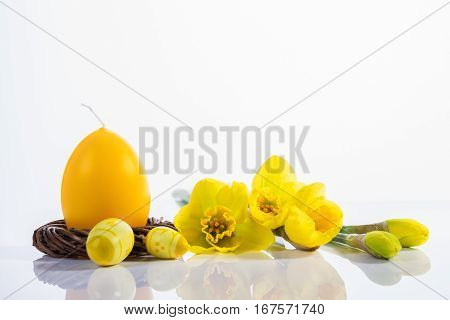 Happy holidays. Easter egg candle and daffodils on a white background
