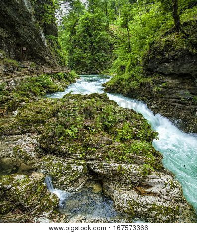Radovna river meanders at the Vintgar Gorge, Slovenia