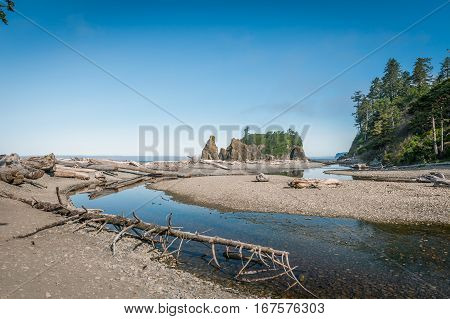 driftwood in Ruby Beach of Olympic National Park Washington State USA