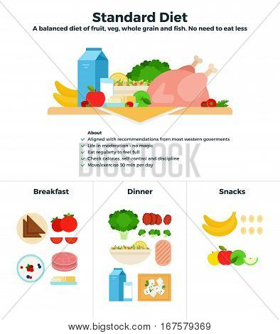 Standard food diet vector flat illustrations. A balanced diet of fruits, vegetables and fish. Recomendations for healthy nutrition. Products classified for breakfast, dinner and snacks isolated on white background