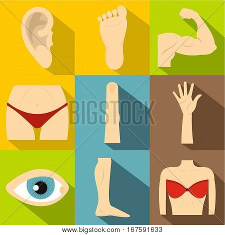 Body parts icons set. Flat illustration of 9 body parts vector icons for web