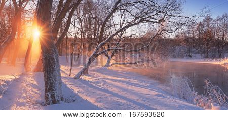 Morning Winter Scene