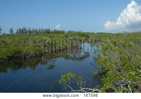 Park Lucayan