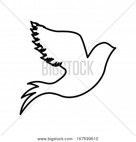 monochrome contour with dove flying vector illustration