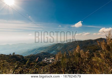 Beautiful Landscape