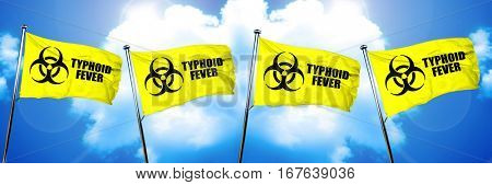 Typhoid fever flag, 3D rendering
