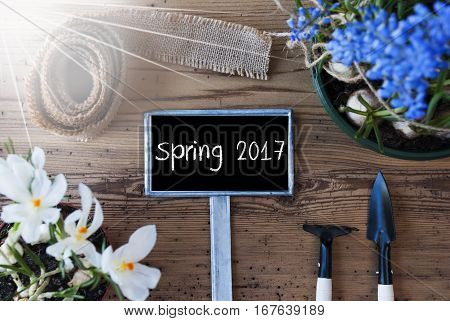 Sign With English Text Spring 2017. Sunny Spring Flowers Like Grape Hyacinth And Crocus. Gardening Tools Like Rake And Shovel. Hemp Fabric Ribbon. Aged Wooden Background