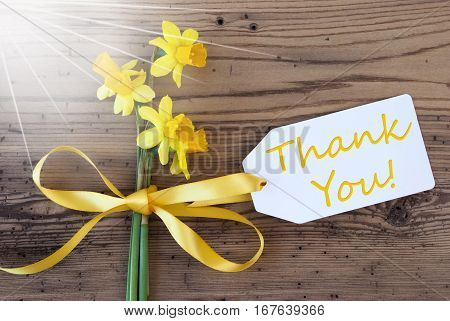 Label With English Text Thank You. Sunny Yellow Spring Narcissus Or Daffodil With Ribbon. Aged, Rustic Wodden Background. Greeting Card For Spring Season