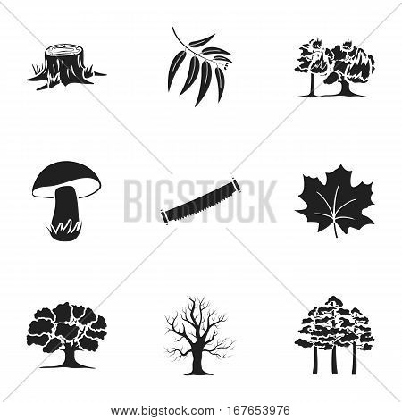 Forest set icons in black style. Big collection of forest vector symbol stock