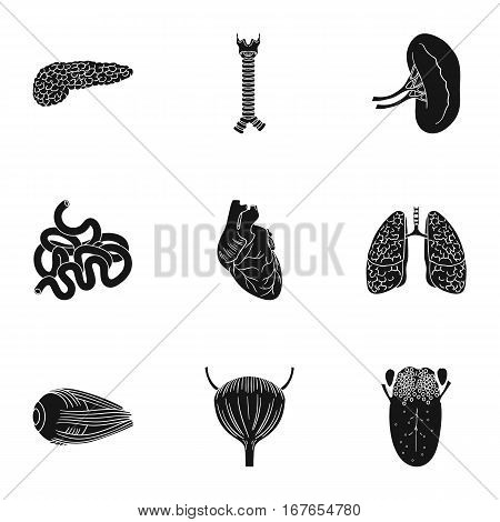 Human organs set icons in black design. Big collection of human organs vector symbol stock illustration