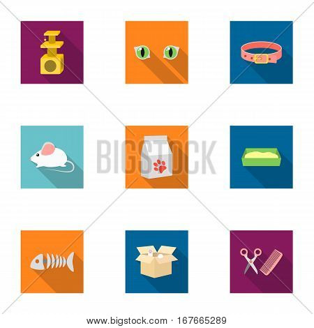 Cat equipment set icons in flat style. Big collection of cat equipment vector symbol stock
