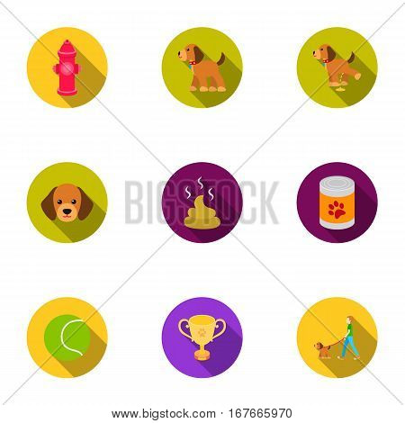 Dog equipment set icons in flat style. Big collection dog equipment vector symbol stock