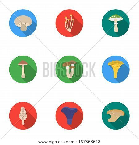 Mushroom set icons in flat style. Big collection of mushroom vector symbol stock