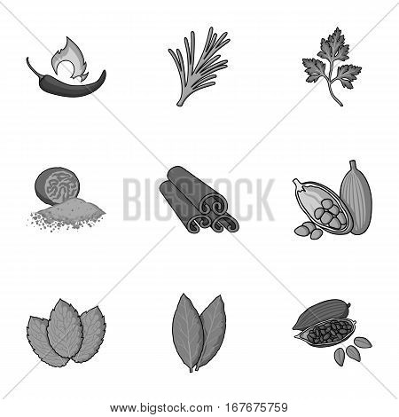 Herb and spices set icons in monochrome style. Big collection of herb and spices vector symbol stock
