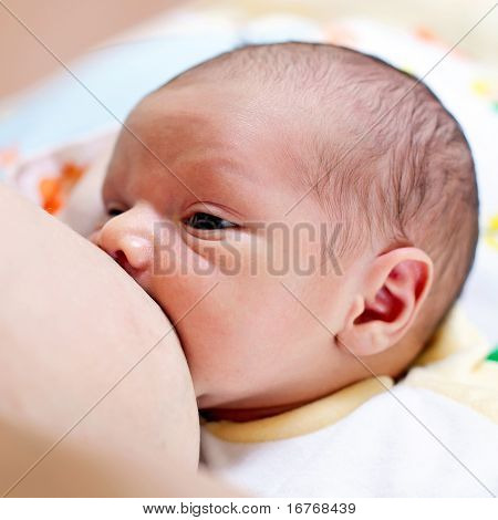 L'allattamento al seno bambino neonato