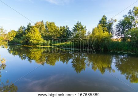 A River with trees on the shore