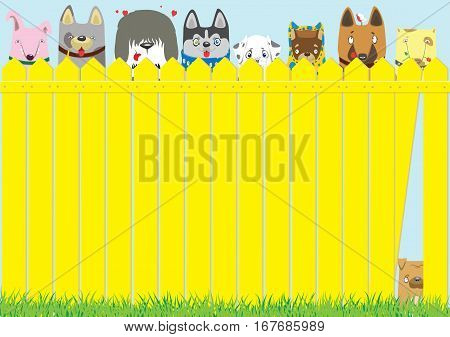 Cartoon dogs on the yellow fence on blue sky background. Cute pets background