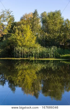 summer landscape with a river in central Russia