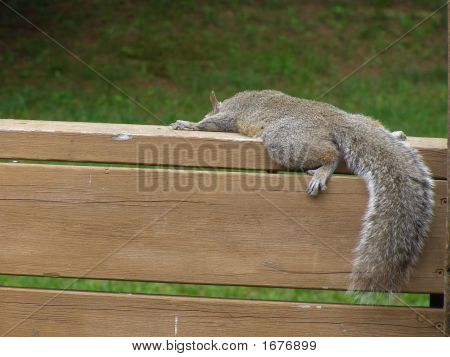 Time Out