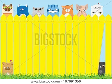 Cartoon cats on the yellow fence on blue sky background. Cute pets background