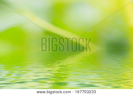 Abstract green forest background with water reflection